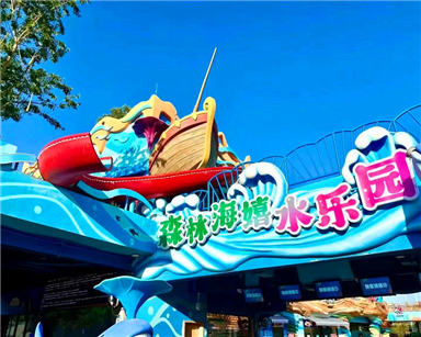 30萬(wàn)㎡的廣州森林海嬉水樂(lè )園官開(kāi)園啦！